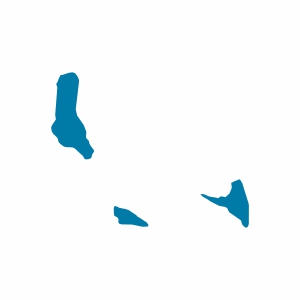 Comoros Vizesi